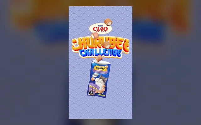 CIAO Churubee Challenge